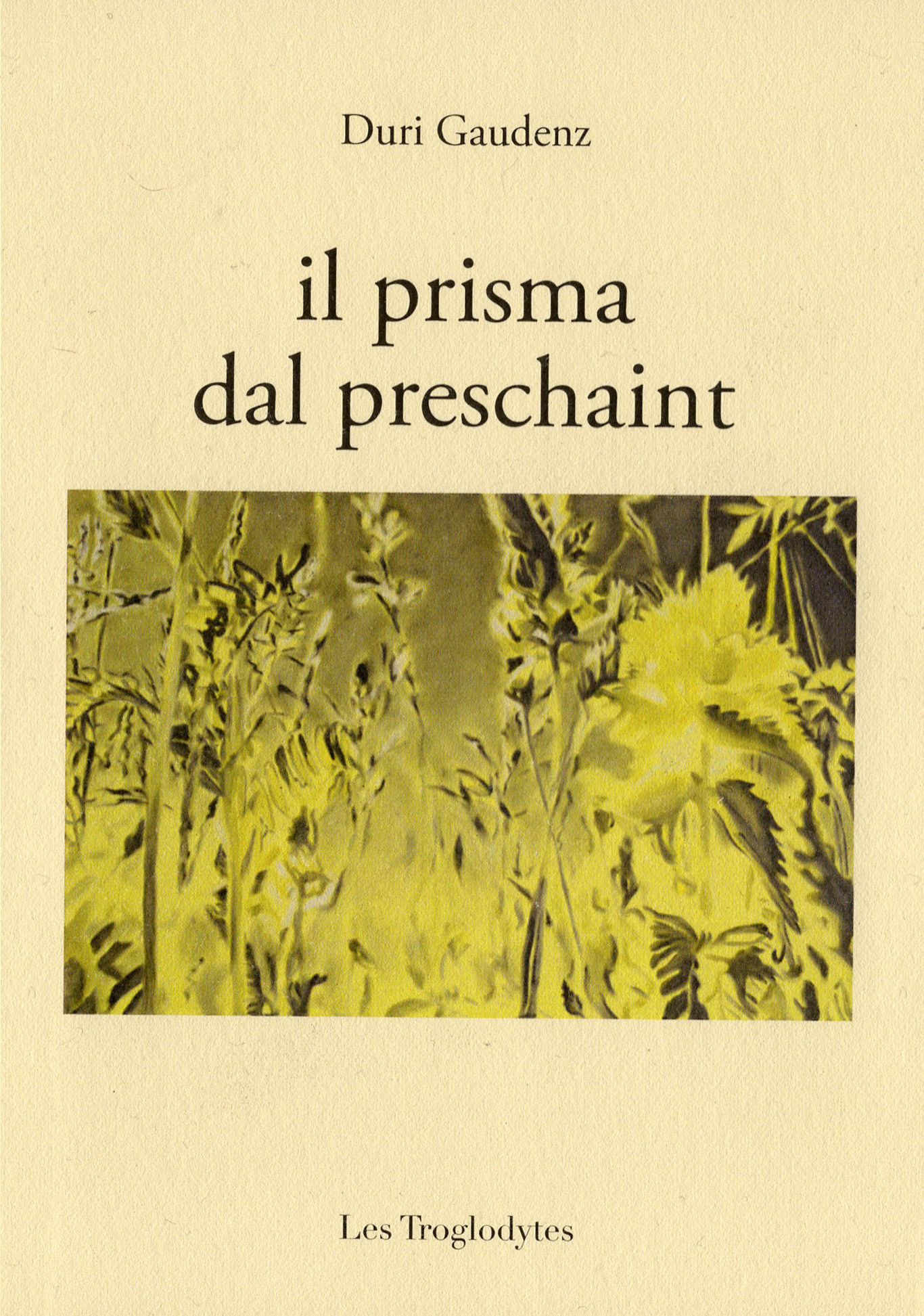 Couverture du livre 'Il prisma dal preschaint'